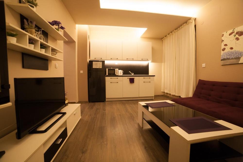 Апартамент Ели Pleven Extérieur photo